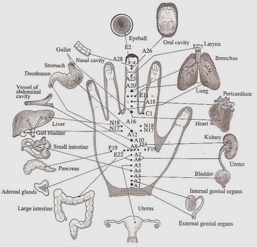 Acupressure Points in hand weight loss now