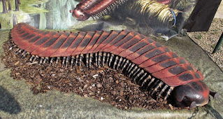 Arthropleura Arthropleura