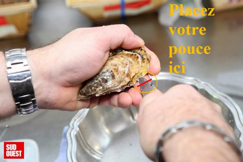 Vidéo. Charente-Maritime : l'huître facile à ouvrir, comment ça