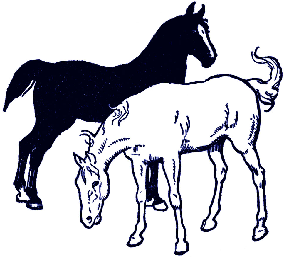 free clipart images horses - photo #43