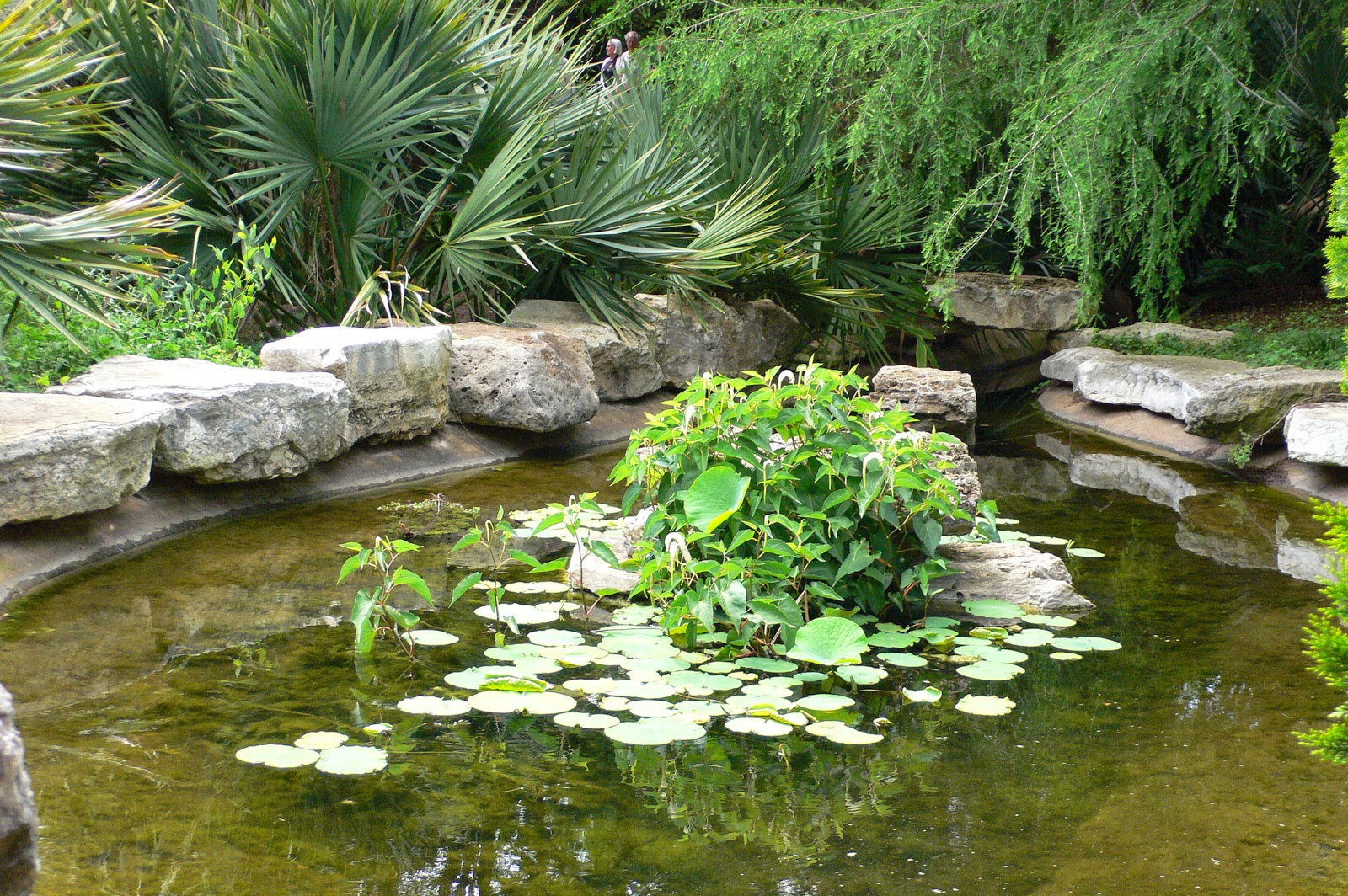 Puutarha be IN surance How to make decorative water area with different water effects in the