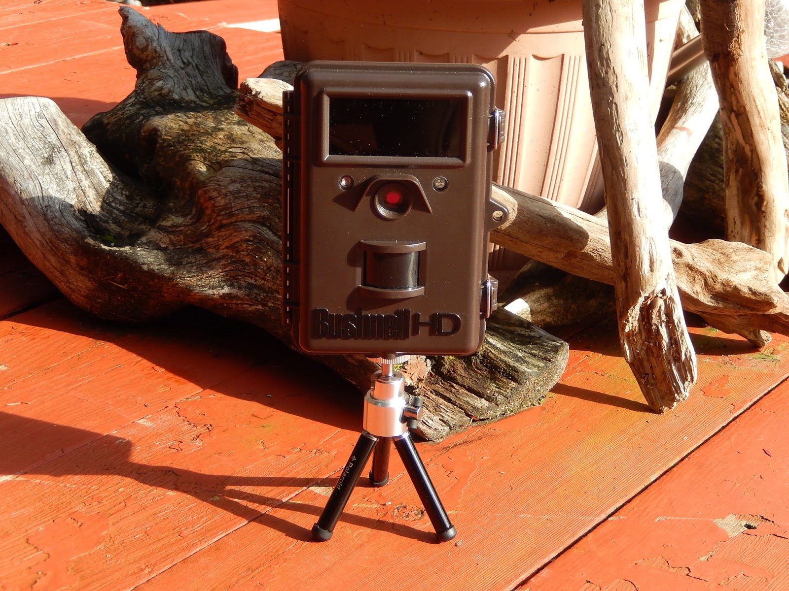 Powell River Books Blog: Bushnell Trophy Cam HD