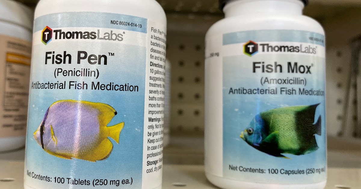 Terrierman's Daily Dose Fish Antibiotics Without a Prescription