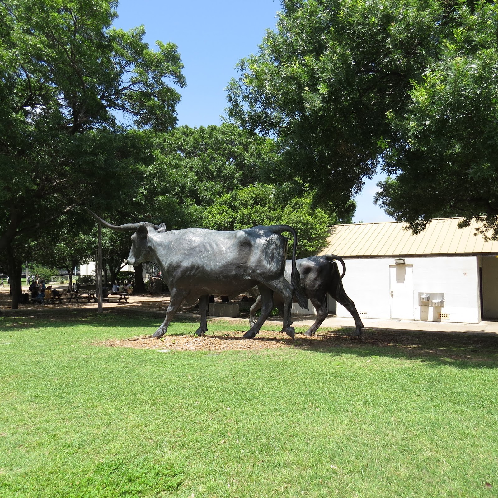 Navasota Ranch Waco River Walk