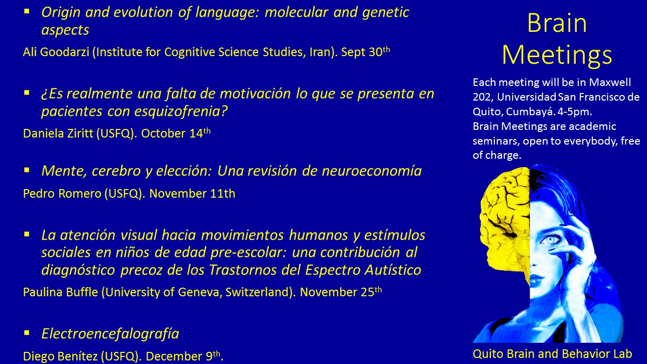 BRAIN MEETINGS Sicología USFQ