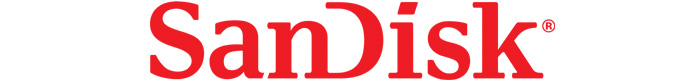 SanDisk logo