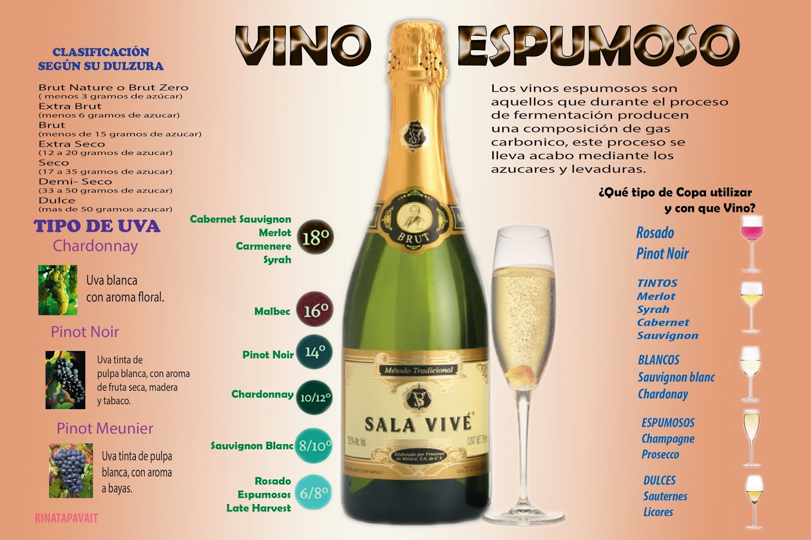 CAVAS Vinos CAVAS Vinos