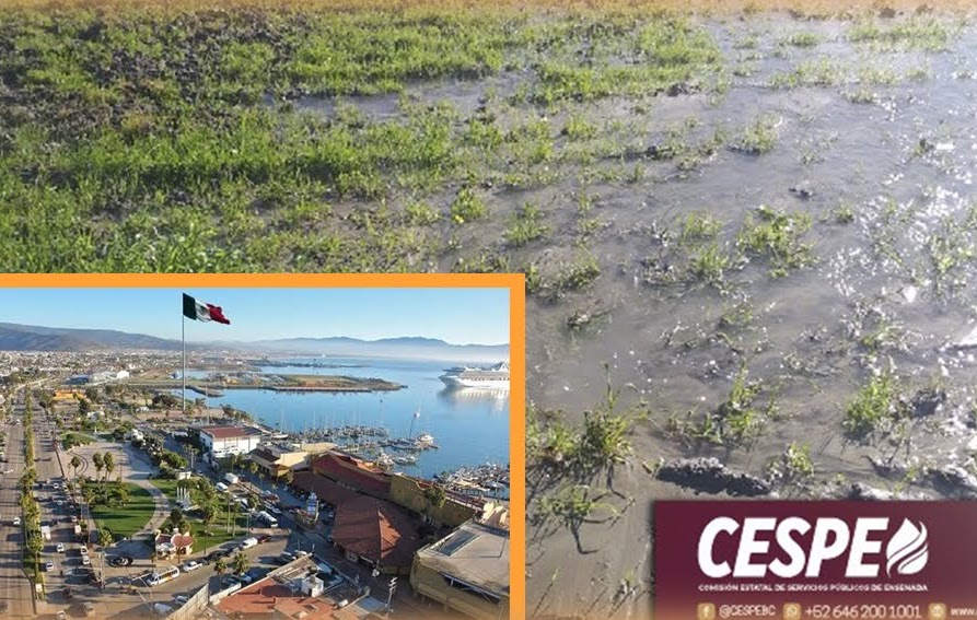 ciudad de Ensenada, Cespe, servicio de agua