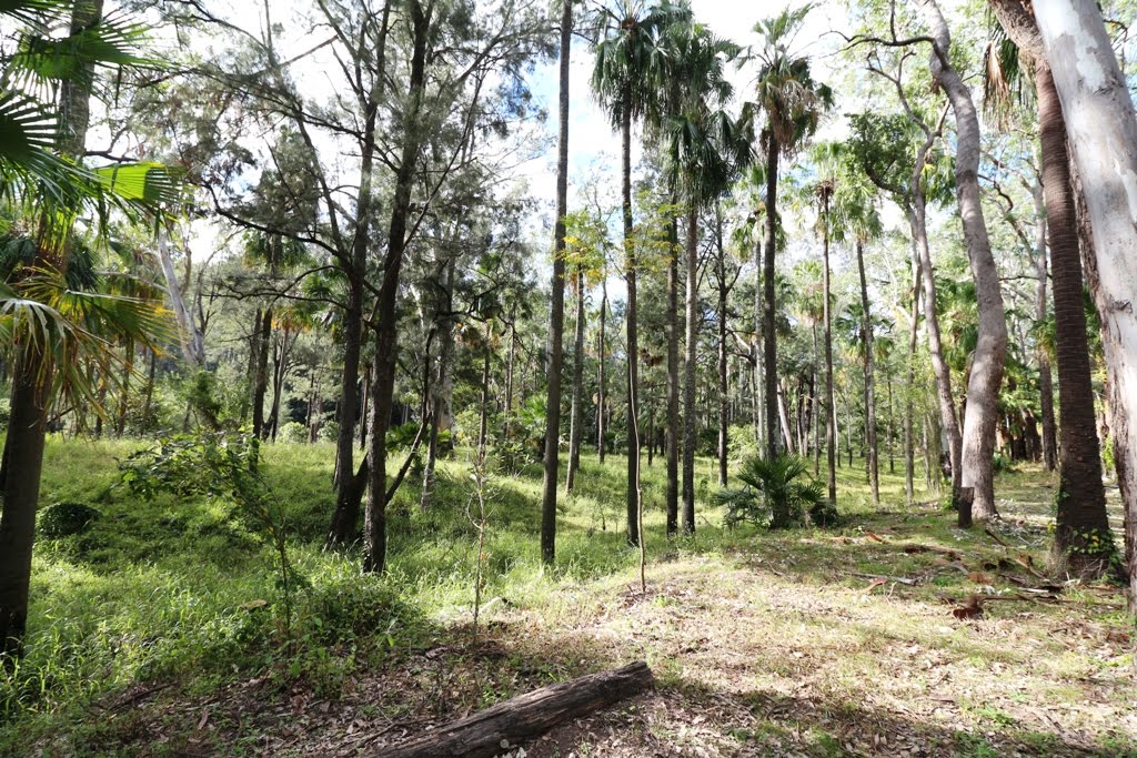 National Park Odyssey Carnarvon Camping Area, Carnarvon National