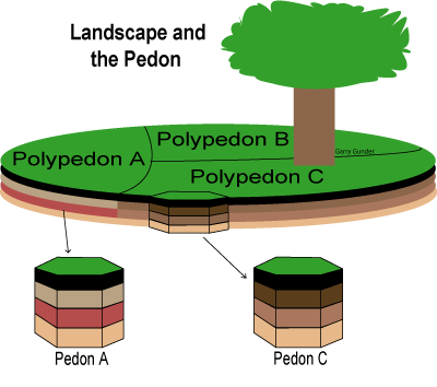 DEFINITION PEDOSPHERE AND SOIL STRUCTURE