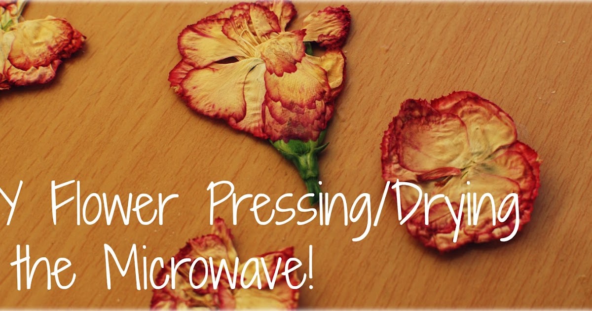 If You Give a Girl a Needle DIY Flower Pressing/Drying in the