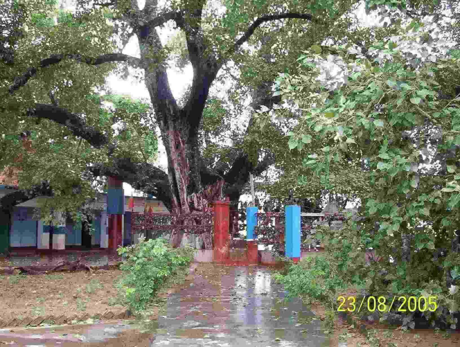 bakshi ka talab air force station