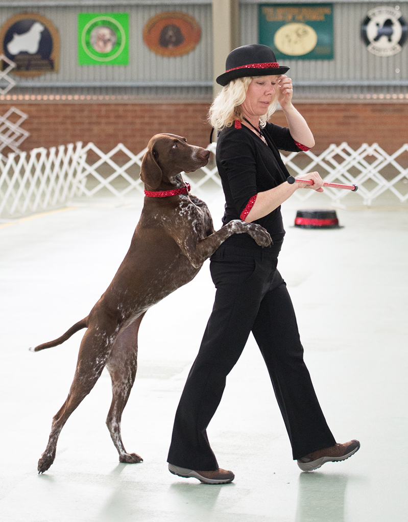 Dances with Dogs and Canine Freestyle Australian Dog Lover