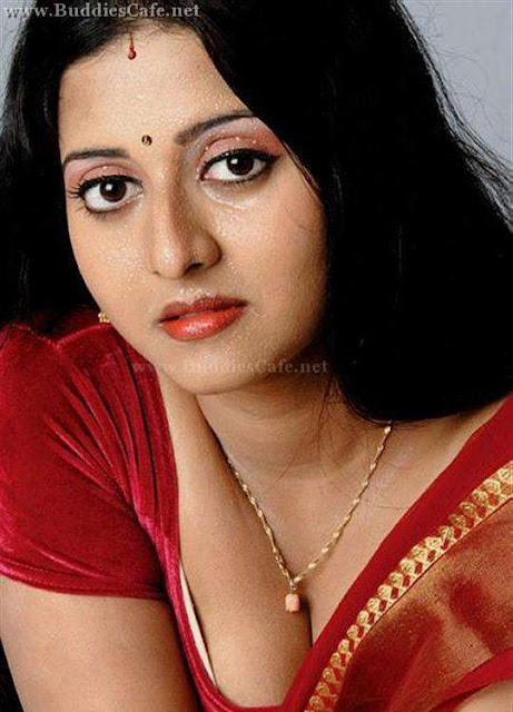 south-tv-actress-sana-hot-photo-in-saree