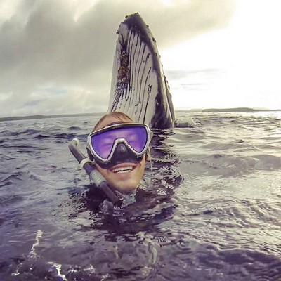This Lucky Guy Was Photobombed By A Massive Whale