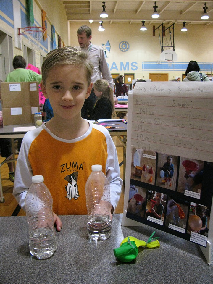 An Apel a Day School Science Fair