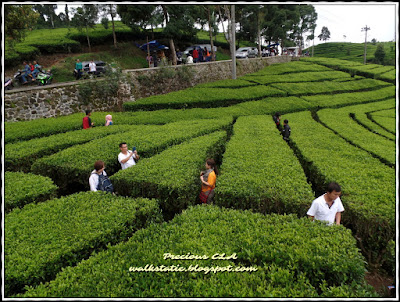 Wonderful Indonesia Wonderful Indonesia
