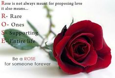 rose day images