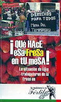 Fresa-Huelva-Multinacionales-globalizacion