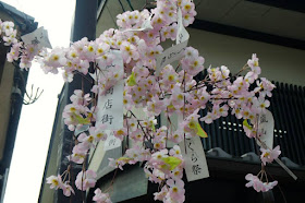 Paper wishes tied to sakura flower