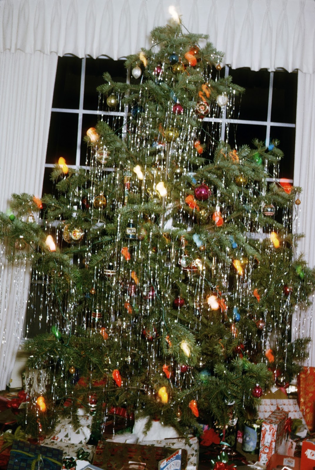 ABT UNK: Advent Calendar of Christmas Memories - Christmas Trees1071 x 1600