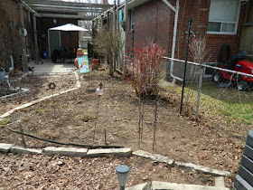 Toronto Etobicoke spring garden cleanup after by Paul Jung Gardening Services