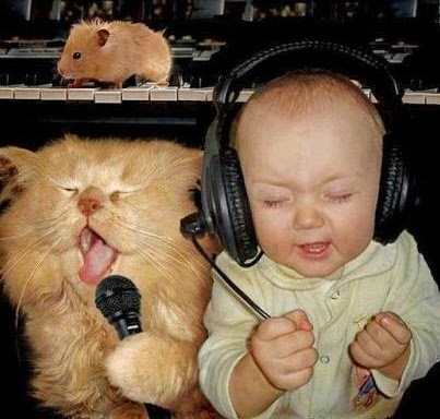 Das Leben Ist Bunt Lustige Spruche Lach Doch Mal