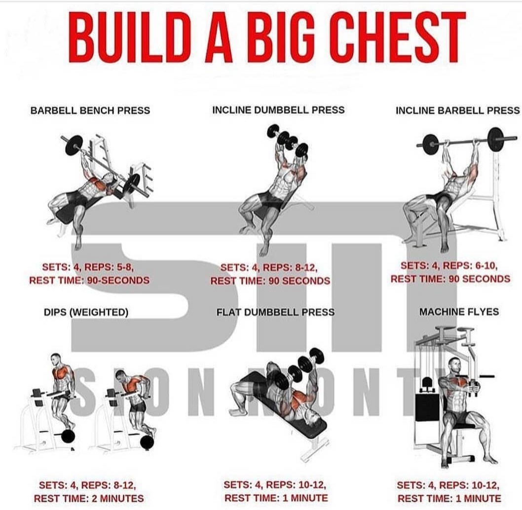 Ultimate Infotek Best chest workout for mass