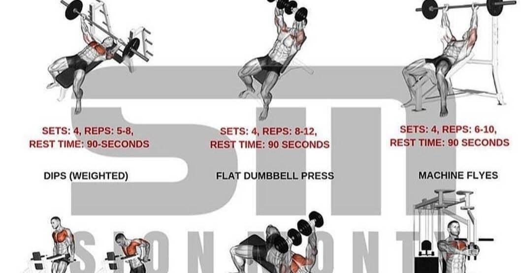 Ultimate Infotek Best chest workout for mass