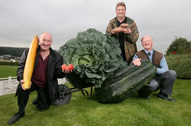 Have Fun Or Die Trying The Biggest Onion In The World To Join The have-fun-or-die-trying-the-biggest-onion-in-the-world-to-join-the