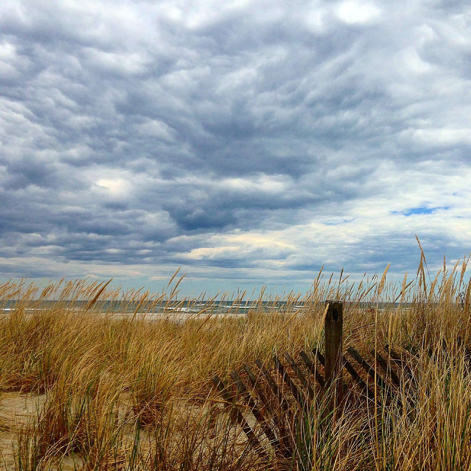 Wildwood Weather The Sun Will Be Only Peeking In Today
