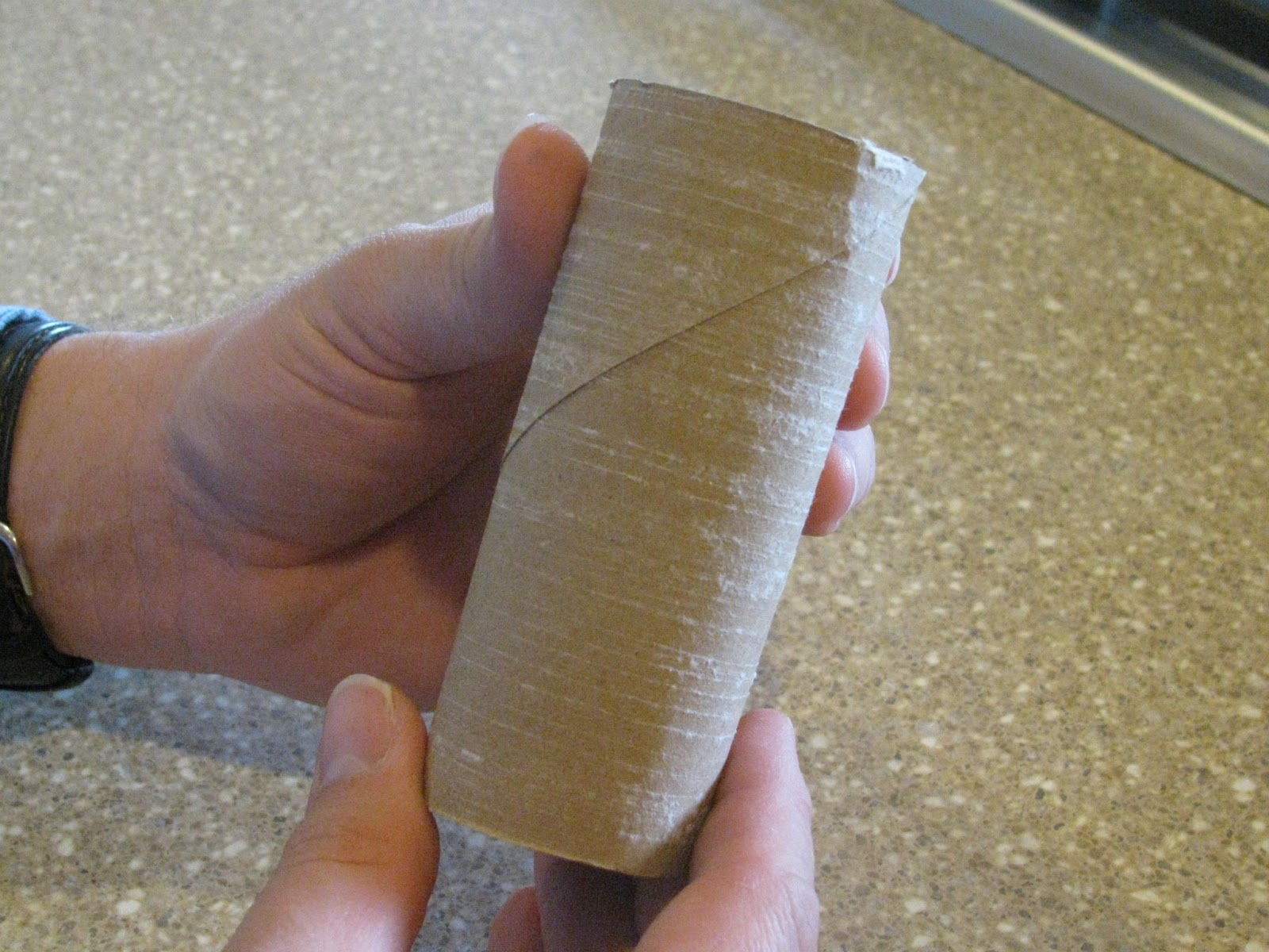 The Harried Homemaker Preps How to Make Seed Starting Pots from Toilet