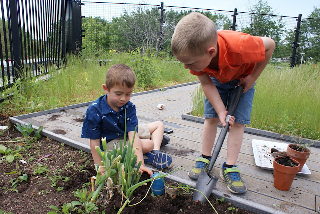 The Wonderful World of Kindergarten