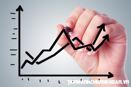 Top 10 co phieu tang/giam manh nhat tuan qua: To van chay tot - Anh 1