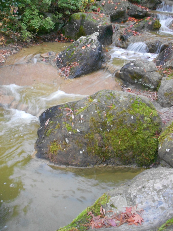 rheinland-blogger: japanischer Garten