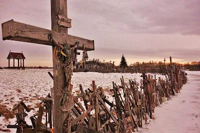Image result for daily crosses