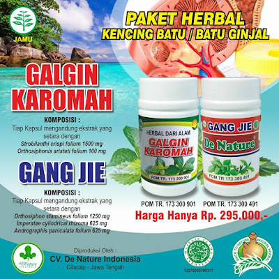 obat batu ginjal/kencing batu