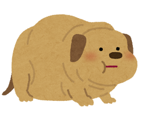 Jpirasutowedrg3 70以上 太っ てる 犬
