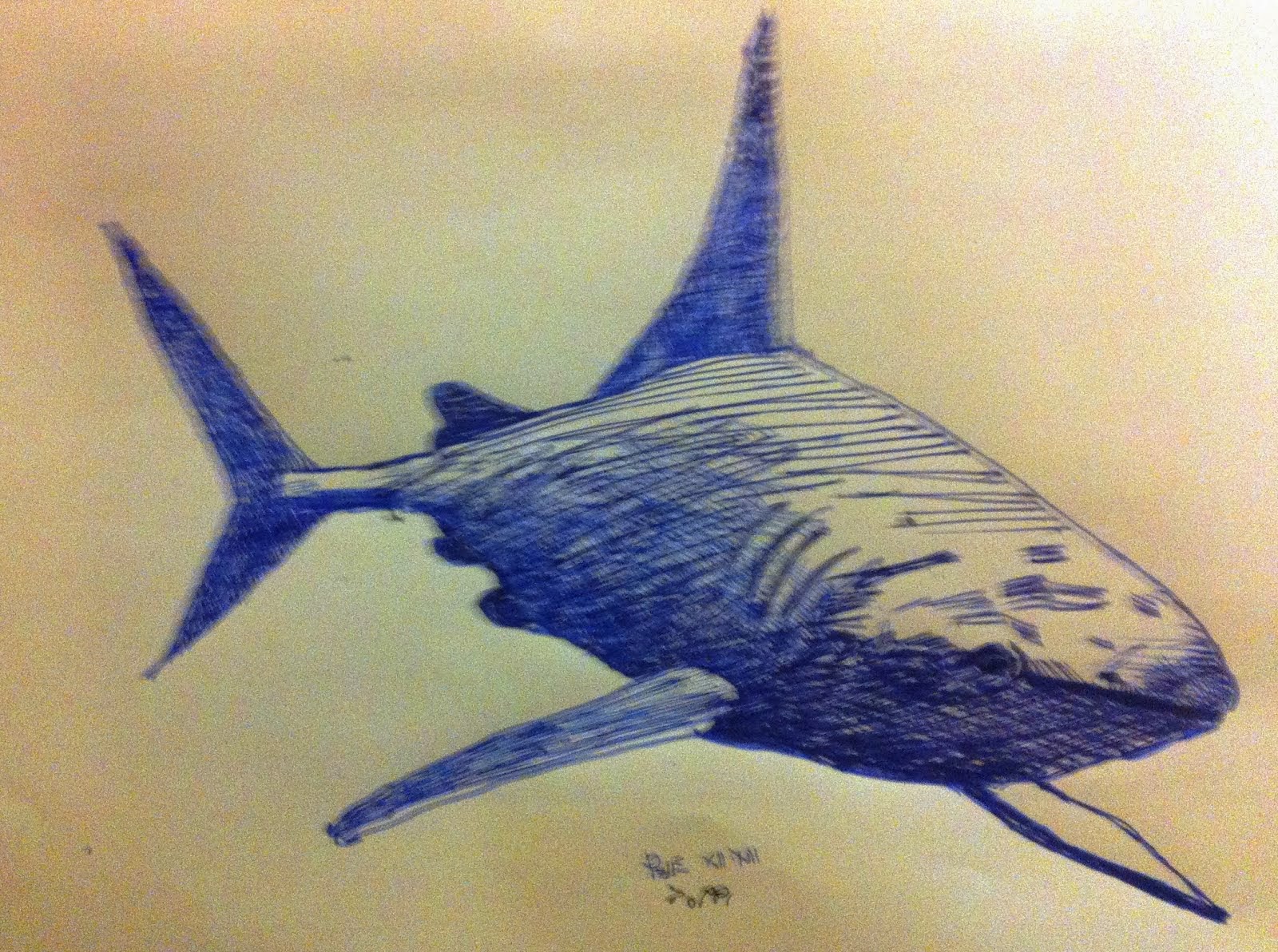 Blu Shark - Toppi (Inchiostro Stilo)