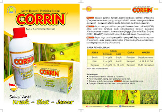 WWW.PRODUKNASAONLINE.COM