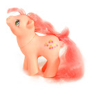 My Little Pony Baby Kirschblüte Year Six German Play and Care Sets G1 Pony