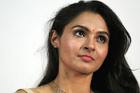 Andrea Jeremiah Gorgeous Picture TollywoodBlog.com
