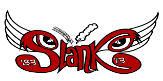 Download Lagu Slank Bidadari Penyelamat Mp3