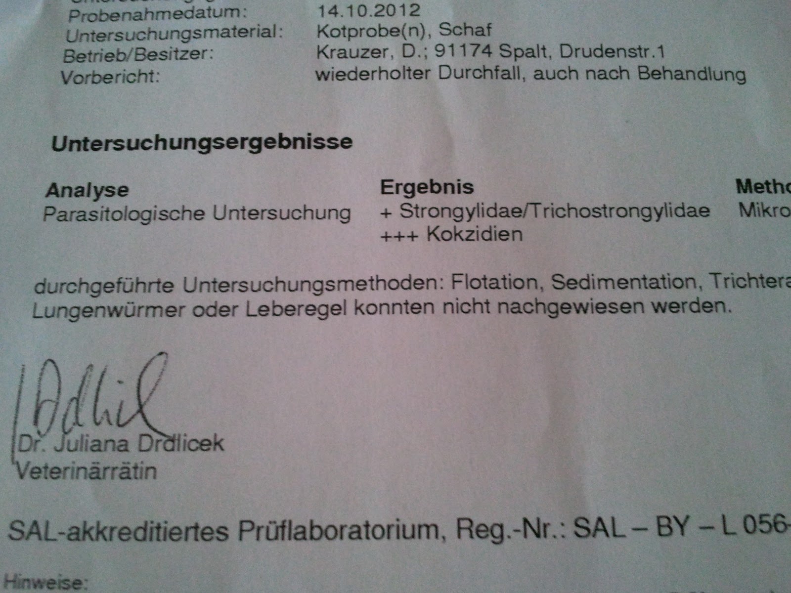 Das Schafgeblök Spurensuche im Schafkot