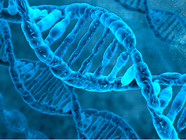 DÍA MUNDIAL DEL ADN “DNA” (Sigla en Inglés) Ácido Desoxirribonucleico 25 de Abril