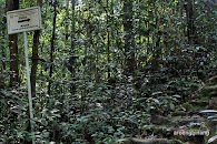Gunung Tajam Belitung