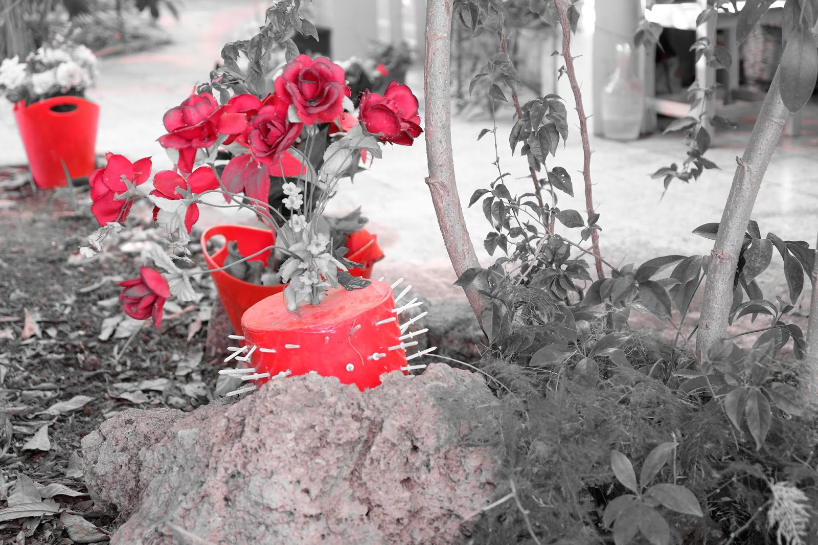 Kavanozdaki Beyin Ocak 2018