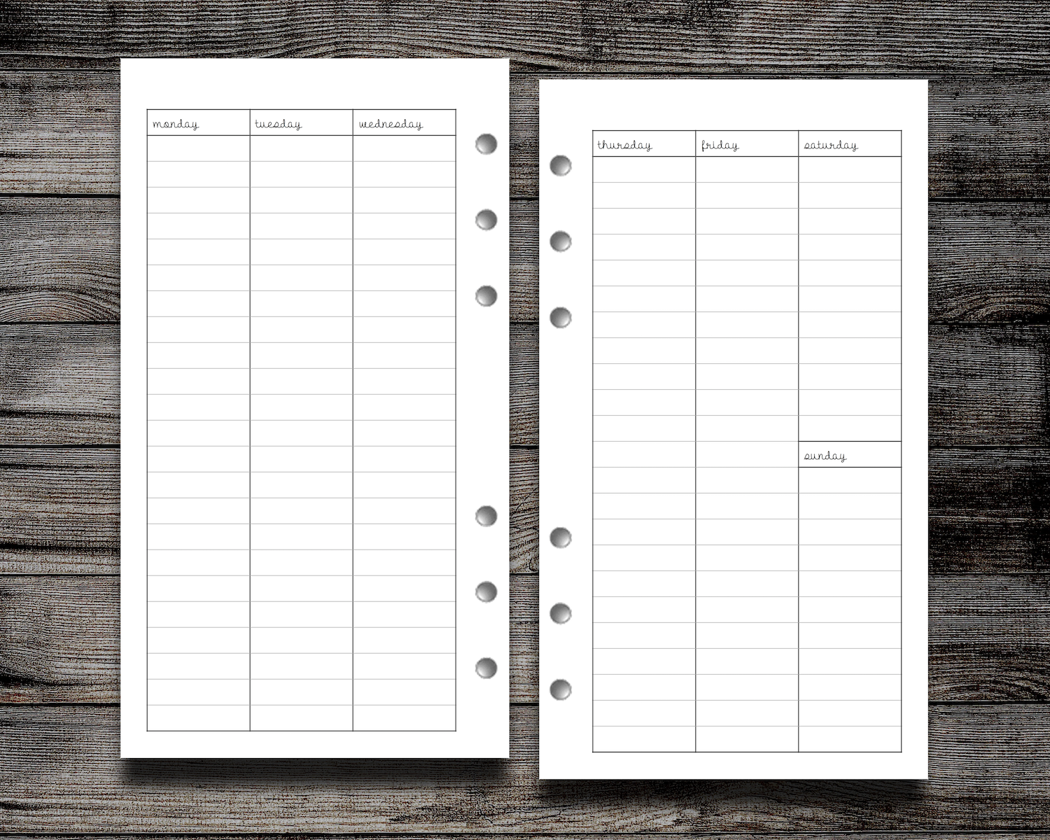 FREEBIE LINED VERTICAL WO2P Peanuts Planner Co