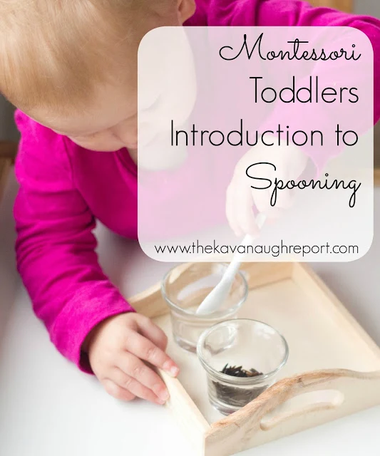 Montessori toddlers love practical activities and spooning is no exception. Introducing a practical tray for toddlers to work on this skill is a fun Montessori activity for toddlers. 