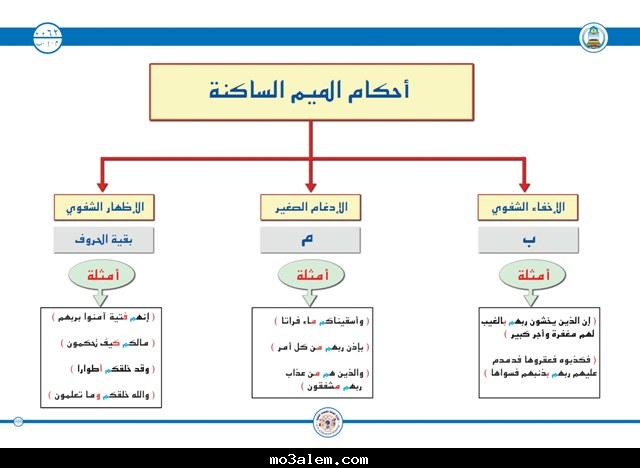 الساكنه شفوي. إظهار مع النون الإظهار يسمى أحكام الإظهار